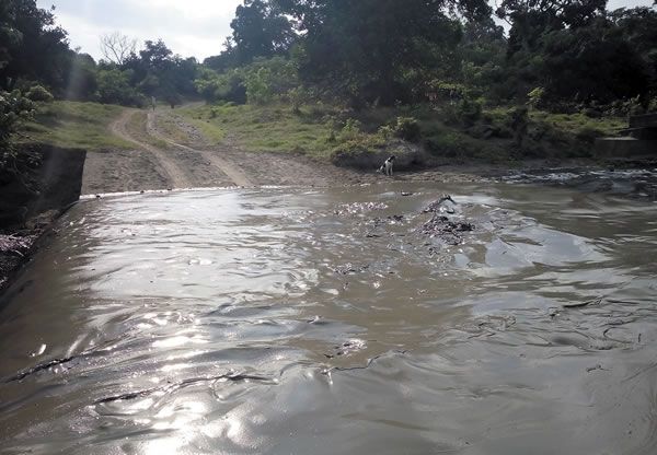 Ash soaked river